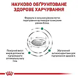 Royal Canin Diabetic Feline Сухий Корм Для Котів При Цукровому Діабеті 0.4 кг (3182550711074) (39060041), фото 6