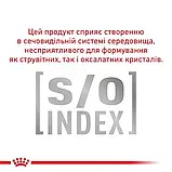 Royal Canin Diabetic Feline Сухий Корм Для Котів При Цукровому Діабеті 0.4 кг (3182550711074) (39060041), фото 3