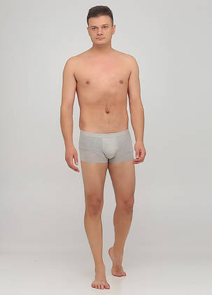Чоловічі труси AO Underwear Сірий 3XL, фото 2
