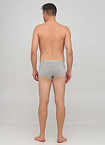Чоловічі труси AO Underwear Сірий 3XL, фото 2