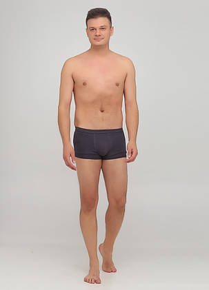 Чоловічі труси AO Underwear Темно-сірий 3XL, фото 2