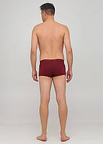 Чоловічі труси AO Underwear Бордовий 3XL, фото 2