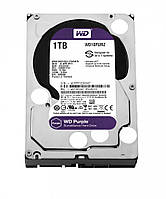 Жесткий диск Western Digital Purple 1TB 64MB 5400rpm WD10PURZ 3.5 SATA III