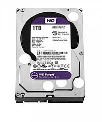 Жесткий диск Western Digital Purple 1TB 64MB 5400rpm WD10PURZ 3.5 SATA III