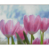 Алмазна картина "Рожеві тюльпани" Strateg 30х40 см [tsi218099-ТSІ]