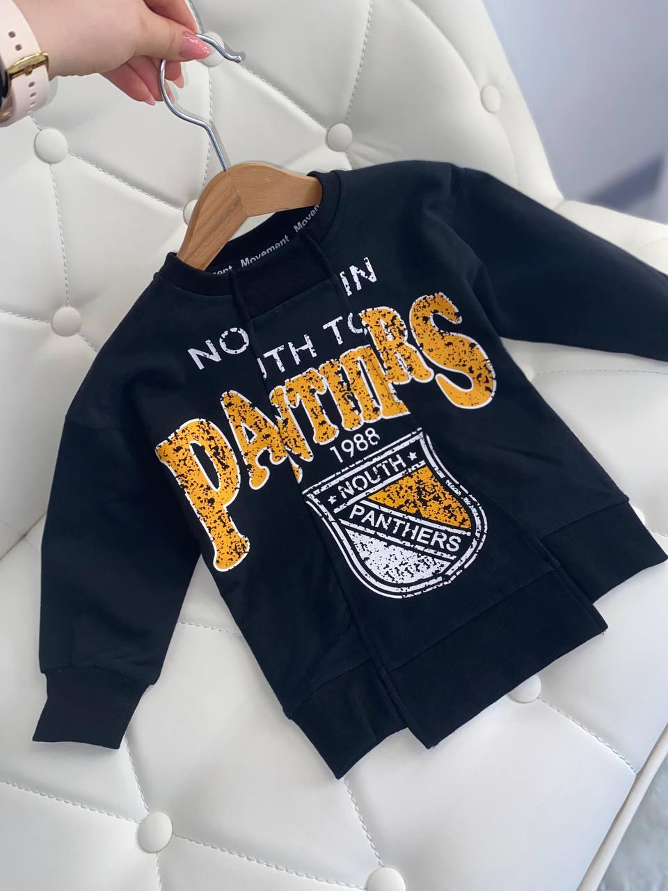 Кофта для хлопчика світшот з принтом та написом Panters Чорна 8306 Bambini, Черный, Мальчик, Весна Осень, 104