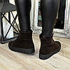 Черевики жіночі коричневі на товстій підошві, натуральна замша, фото 2