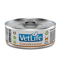 Farmina Vet Life Convalecence Cat консерви Фарміна для котів у період одужання 85 гр