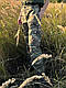 Жіночі військові осінні штани мультикам Жіночі тактичні штани ЗСУ "Multicam" Штани жіночі камуфляж мультикам, фото 4