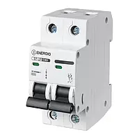 Автоматический выключатель Energio SP-2P C 63А 6кА