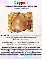 Лук севок Sturon(Лук Стурон) 10/21 1 кг