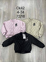 Куртки  детские для девочек  S&D 4-14 лет.оптом CK-42