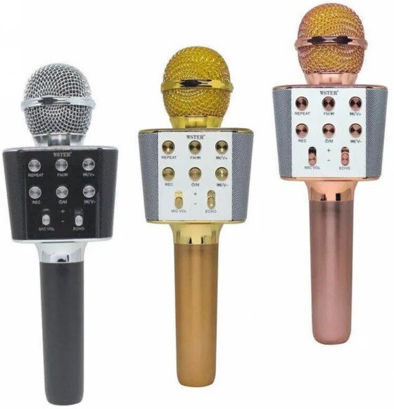 Мікрофон Wster WS-1688 USB, microSD, AUX, Bluetooth, REC, фото 1