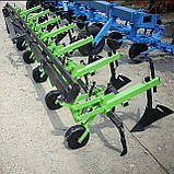 Культиватор для міжрядного оброблення Bomet 3,5,7 секцій, фото 2