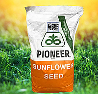 Семена подсолнечника P62LL109 (Pioneer)