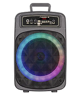 Портативная акустическая система с караоке микрофоном Winso RX-8188-8"x1 с RGB-подсветкой 10W