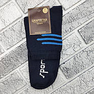 Шкарпетки чоловічі високі зимові з махрою р.31 (45-46) спорт асорті ДОБРА ПАРА 30038274, фото 2