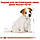 АКЦІЯ! Сухий корм Royal Canin Jack-Russell Puppy (Роял Канін Джек Рассел Папі) для цуценят, 1,5 КГ, фото 6