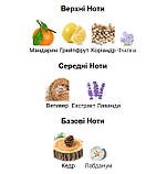 3ml Givenchy pour Homme Givenchy Туалетна вода для чоловіків Розпив Відливант, фото 4