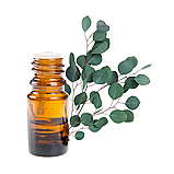 Ефірні олії - Домашня аромааптечка (олія лаванди, чайного дерева та евкаліпту по 10 ml), фото 4