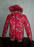 Куртка на дівчинку осіння Мінні з сердечками ,,104-110, фото 5