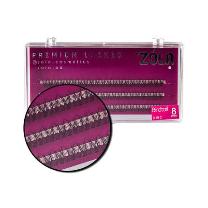 Вії в пучках Zola Birdtail 8 mm, фото 1