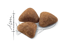 Royal Canin Indoor НА ВАГУ корм для кішок від 1 до 7 років живуть в приміщенні (ціна за 1кг)