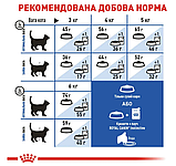 Royal Canin Indoor НА ВАГУ корм для кішок від 1 до 7 років живуть в приміщенні (ціна за 1кг), фото 3