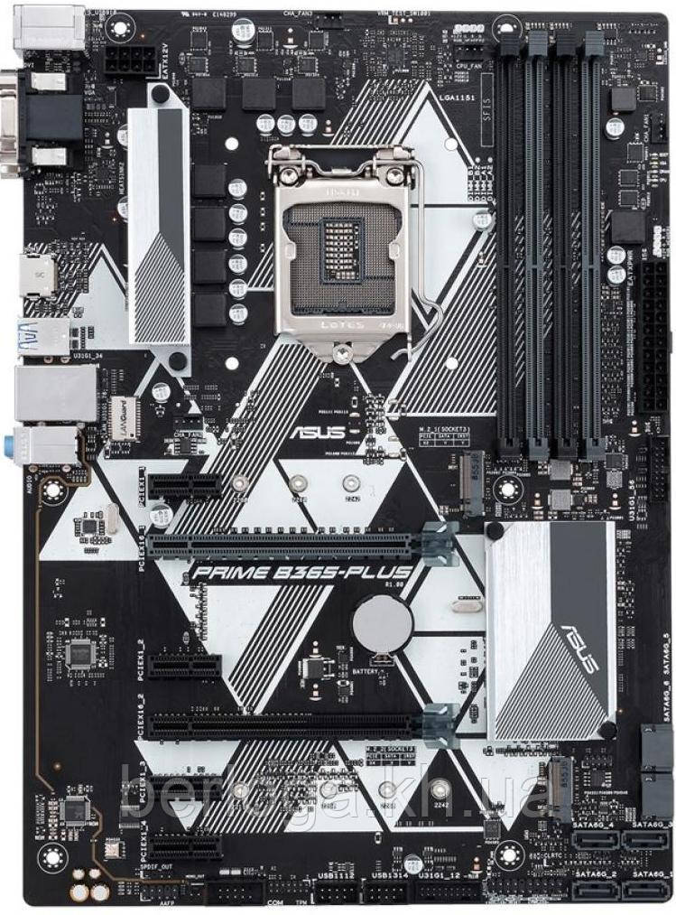 Материнська плата ASUS Prime B365-Plus