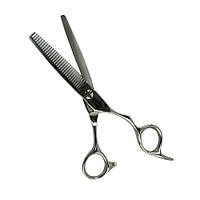 Ножиці філірувальні Hots Professional Elite Silver 6,0 (FGH-630)