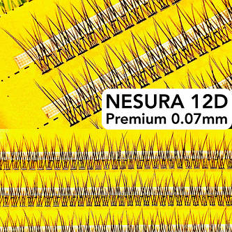 Вії Nesura Premium 12D 0.07 Ластівки V