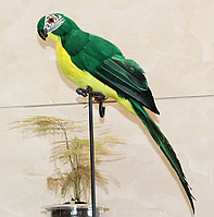 Реалистичный попугай Декор зелёный ABC