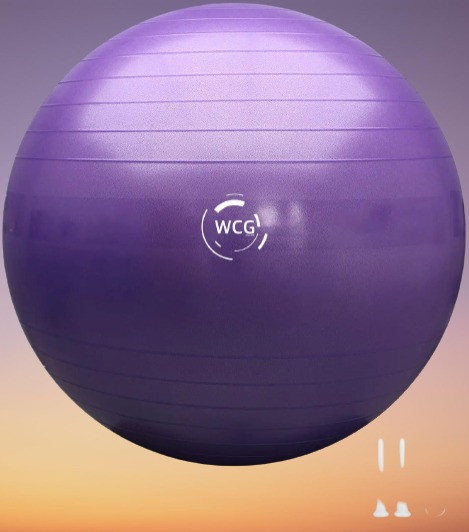 М'яч для фітнесу 65 см WCG Anti-Burst, для тренажерного залу 300кг з насосом (Фіолетовий), фото 1