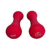 Гантелі неопренові по 1 кг для фитнеса (2х1) WCG