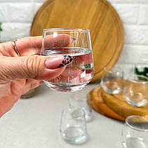 Набір великих чарок 95 мл 6 шт ARDESTO Gloria Shine, фото 5