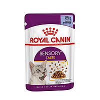 Royal Canin Sensory Taste Jelly 85 г повседневный влажный корм для взрослых котов, стимулирующий особое