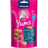 Ласощі для котів Vitakraft Yums 40 г (лосось і Омега-3)