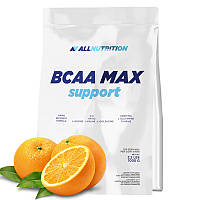 AllNutrition BCAA MAX Support 1000 g Апельсин