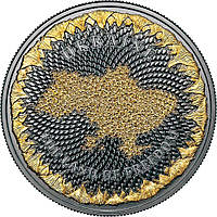 Срібна монета "Україна земля свободи" 31,1 грам, 2022 рік