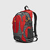 Рюкзак туристичний Deuter G25 об'єм 35 літрів Red-Grey, фото 3