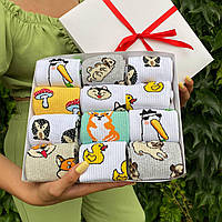 Большой набор носков женских длинных весна осень с милым креативным принтом 36-41 12 пар в подарочной коробке