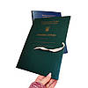 Папка Особова справа корінець 30мм із бумвінілу для Державної служби України НС з тисненням ф. А4, зав'язки зелений, фото 7