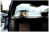 Світлодіодне дзеркало FreeON в автомобіль, з підсвічуванням і дистанційним керуванням, фото 2