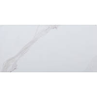 Плитка для стін Атем Calacatta GR 25*50 см біла
