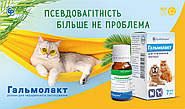 ГАЛЬМОЛАКТ — ПРЕПАРАТ ДЛЯ ПРИПИНЕННЯ ЛАКТАЦІЇ У КОТІВ ТА СОБАК