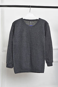 Батник дитячий для хлопчика термо темно-сірого кольору 163555M