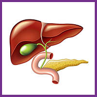 Підтримка підшлункової залози