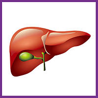 Підтрикмка функції печінки
