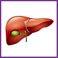 Засоби для здоров'я печінки