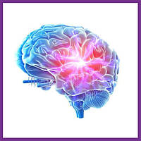 Засоби для поліпшення пам'яті і роботи мозку